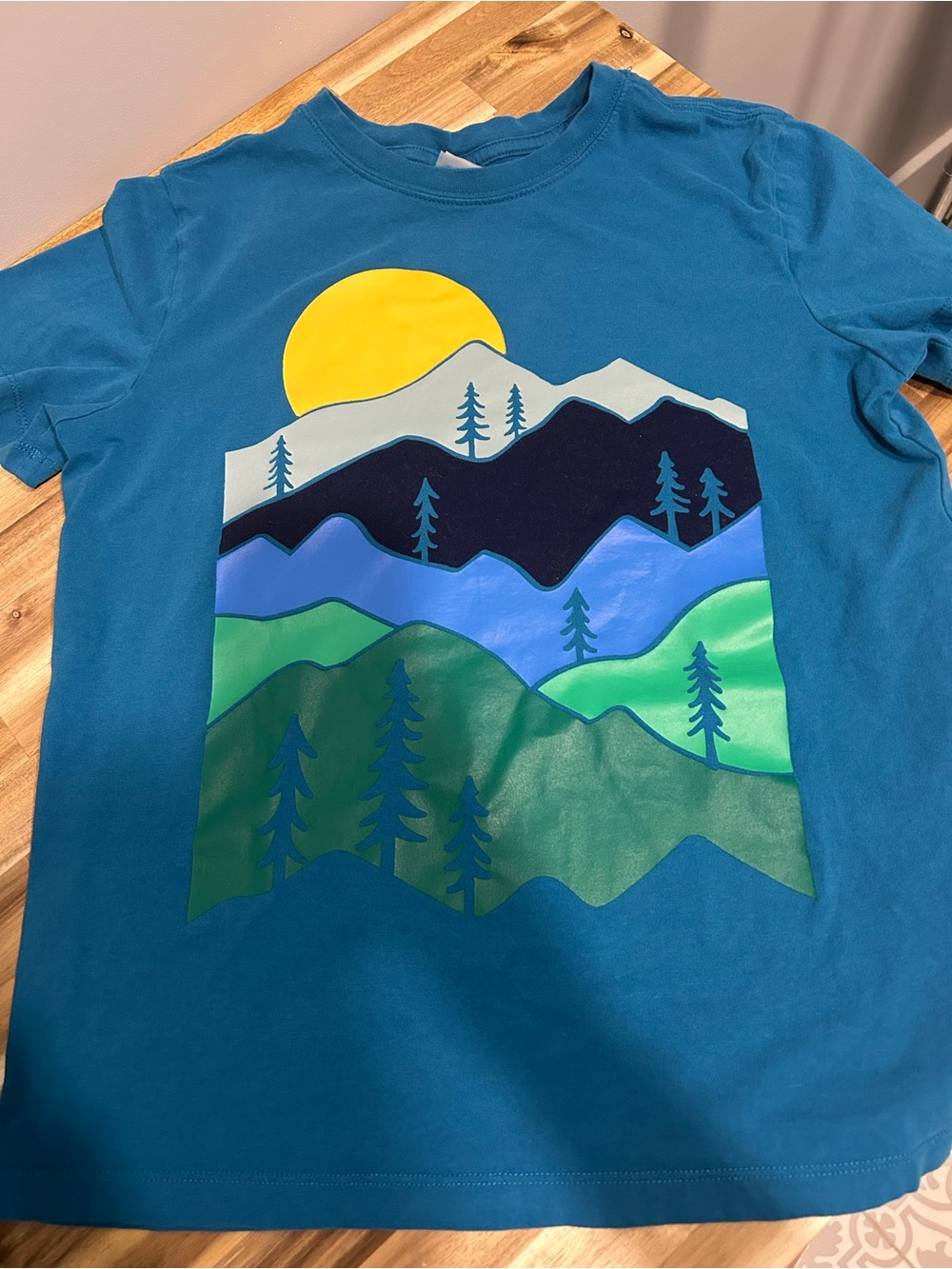 Hanna Andersson Blue Tee with Mountain Sunrise Graphic